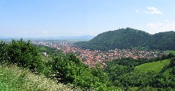 Brasov