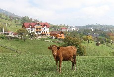 Villa Hermani in Măgura