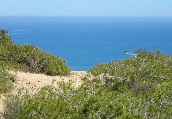 Dünenlandschaft am Mittelmeer