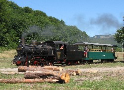 Kleinbahn in Siebenbürgen