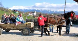 Fahrt mit dem Pferdewagen