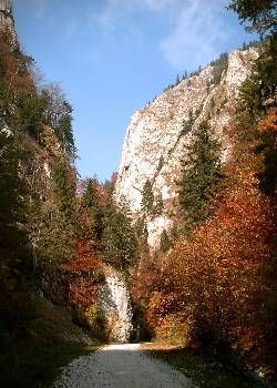 Schlucht von Zarnesti