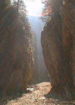 Gorge of Zărneşti